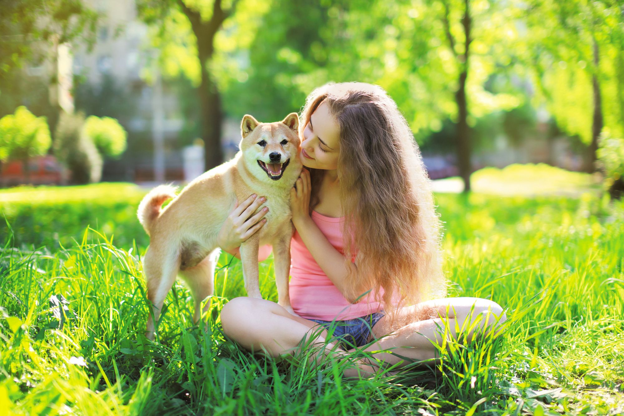 Why Red Light Therapy Won’t Hurt Your Dog’s Eyes