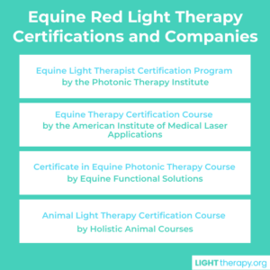 Equine Red Light Therapy Certification: What You Need to Know Equine Red Light Therapy Certification: What You Need to Know
