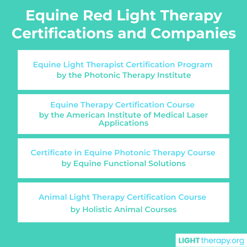 Infographic: Equine Red Light Therapy Certification: What You Need to Know